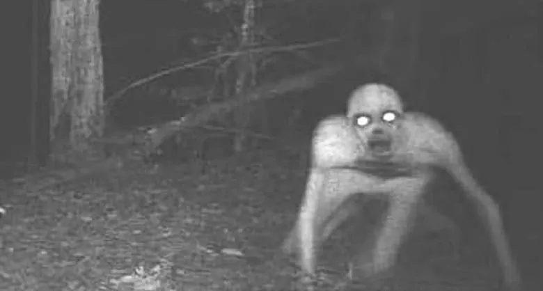 attachment-Skinwalker1.jpg