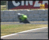 avatar_3427.gifhuy.gif