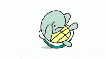 awkward-turtle.gif