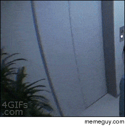 B4AFBC5A-E043-41D9-A448-CDF3294E1E46.gif