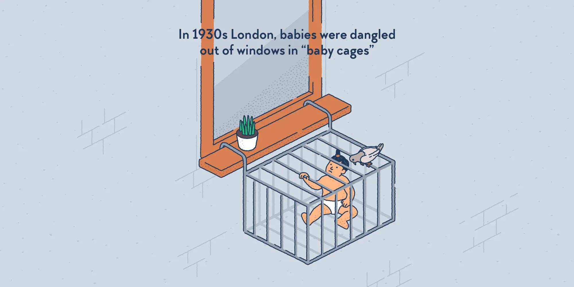 baby-cage.webp