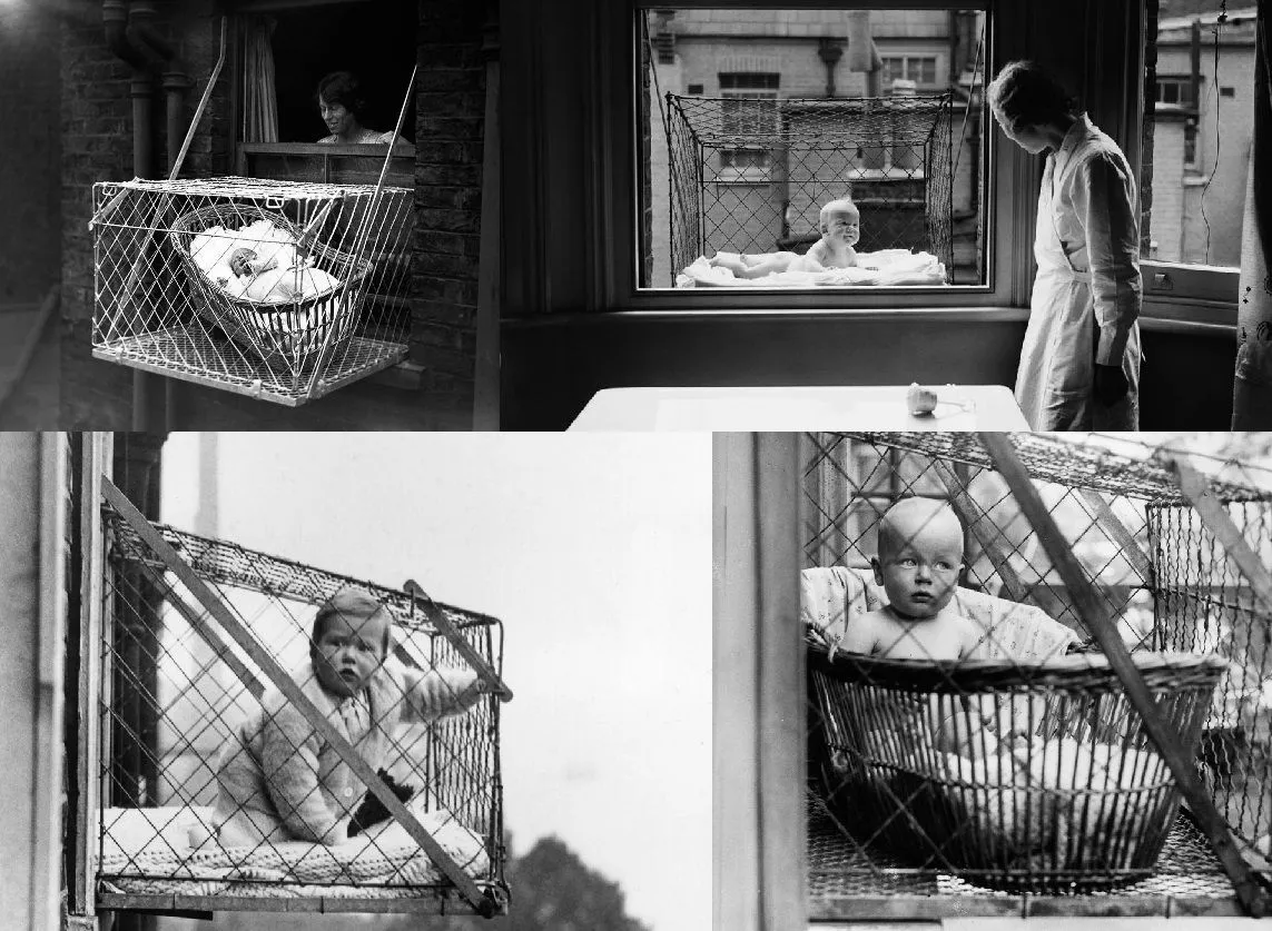 baby cage.webp