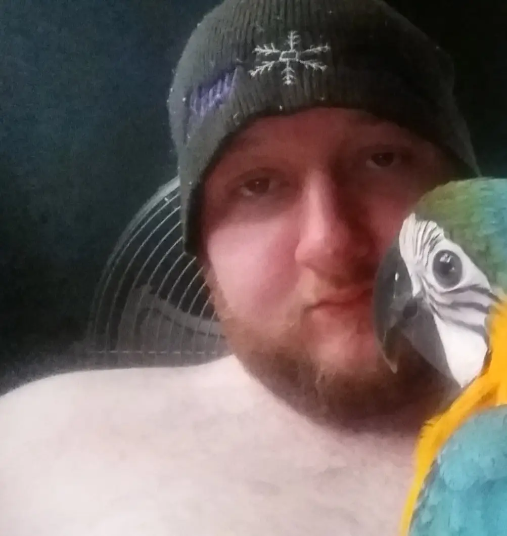 baby macaw (1).webp (1).webp