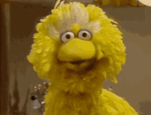 BE3658E3-1630-4050-880C-2C9E7F4ED484.gif