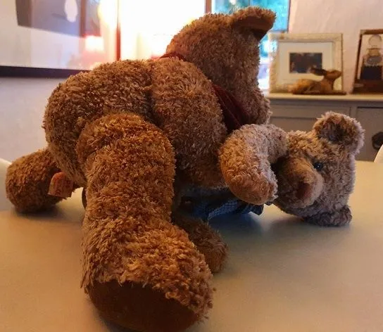 bear.webp