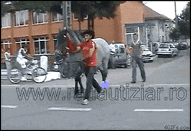 bh50KfHTGpV3G.gif