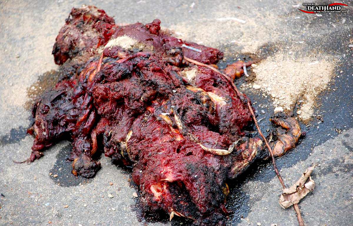 big-chunk-of-meat-all-that-remains-of-suicide-bomber-2-Abuja-NI-jun-16-11.jpg