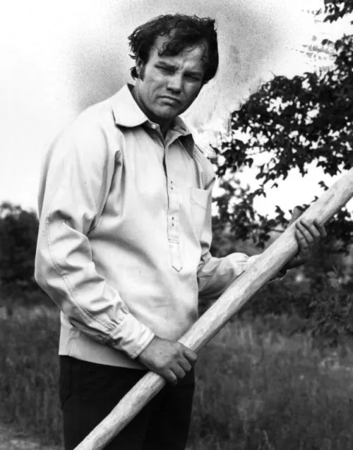 Big Stick.webp