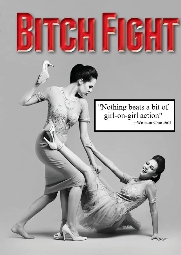 Bitchfight.webp