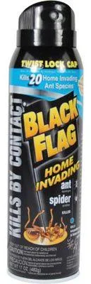 BlackFlag.webp