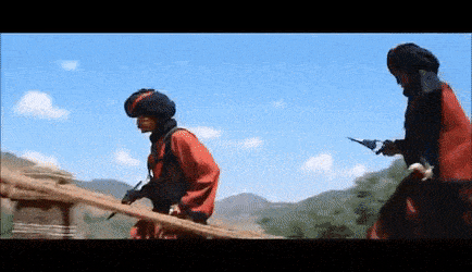 BouncyRealGull-size_restricted.gif