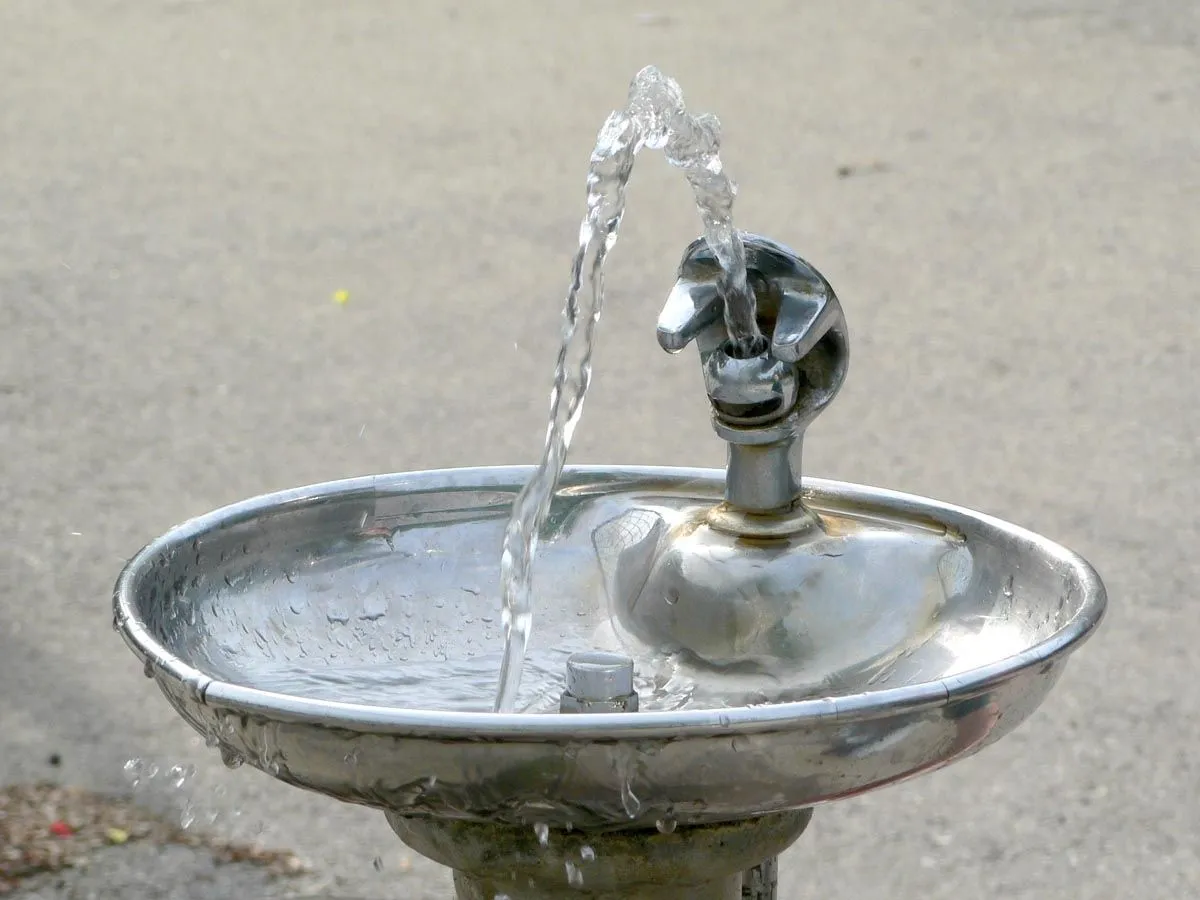 Bubbler.webp