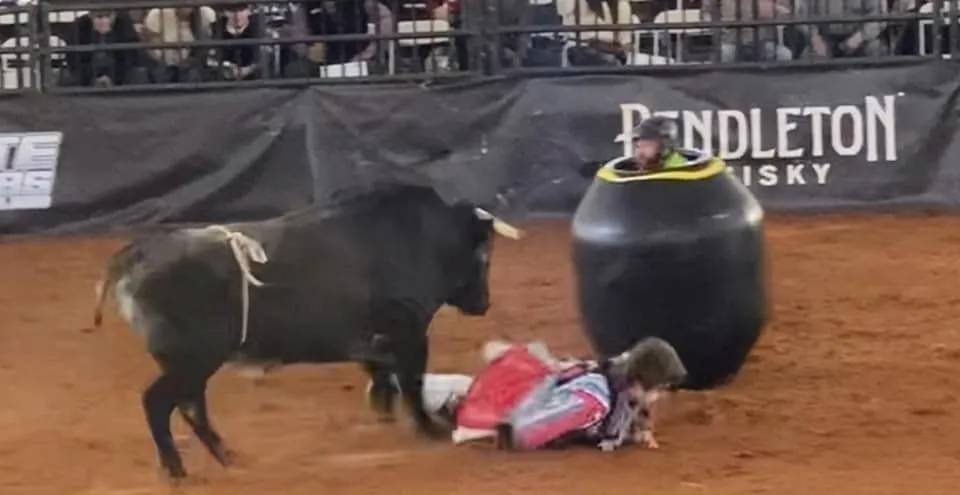 bullballs.com.webp