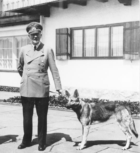 Bundesarchiv_B_145_Bild-F051673-0059,_Adolf_Hitler_und_Blondi_auf_dem_Berghof.jpg