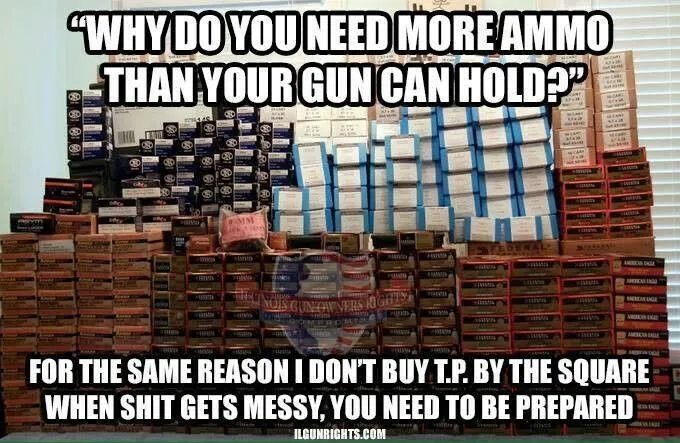 c0825062c89c67bc43ef76e005a67979--gun-control-conservative-politics[2].webp