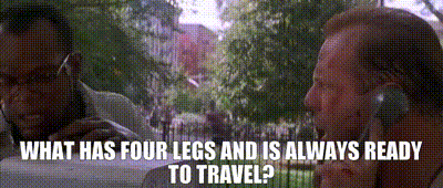 c4719a84-ba31-4ed5-b329-192bace47327_text.gif