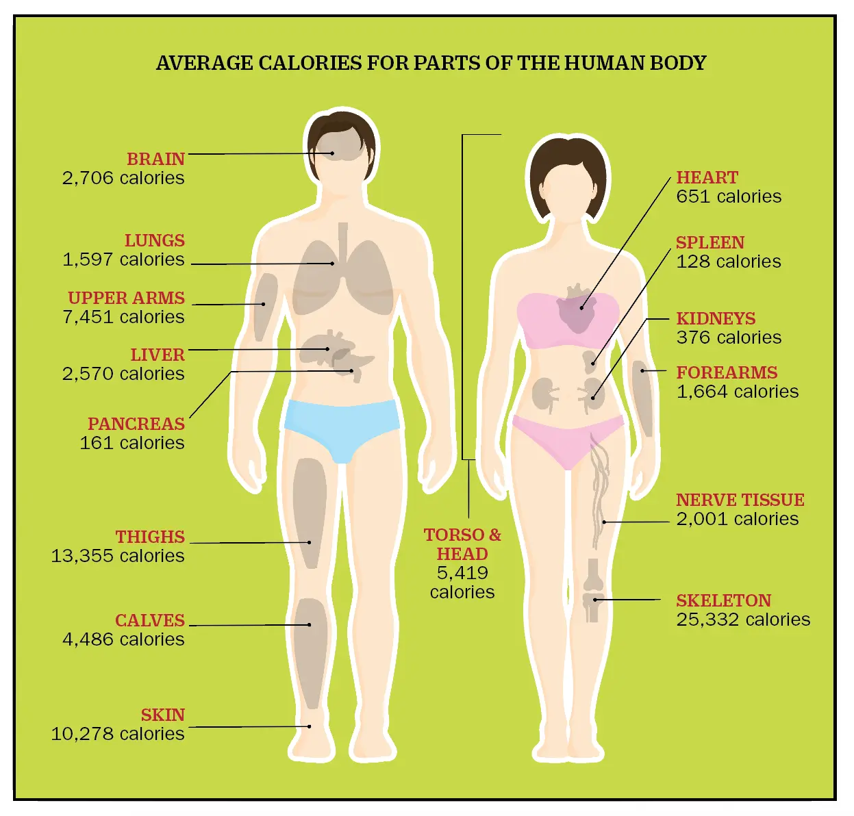 cannibal-human-body-parts.webp
