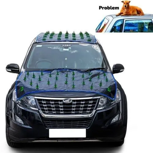 car-protection-from-dog-from-roof.webp