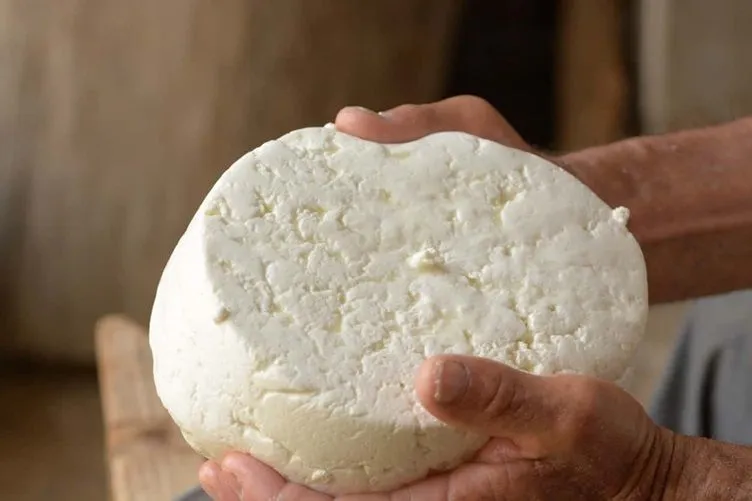 cheese-that-looks-like-smegma.jpg