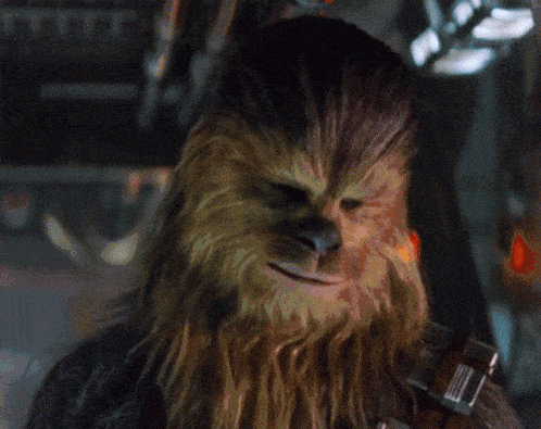 chewbacca-nod.gif