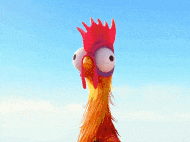 chicken-hei-hei-vcdgpl5bqnnr8pnr.gif