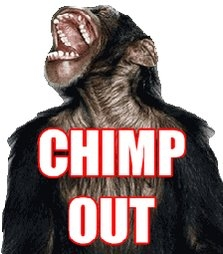chimp out.webp