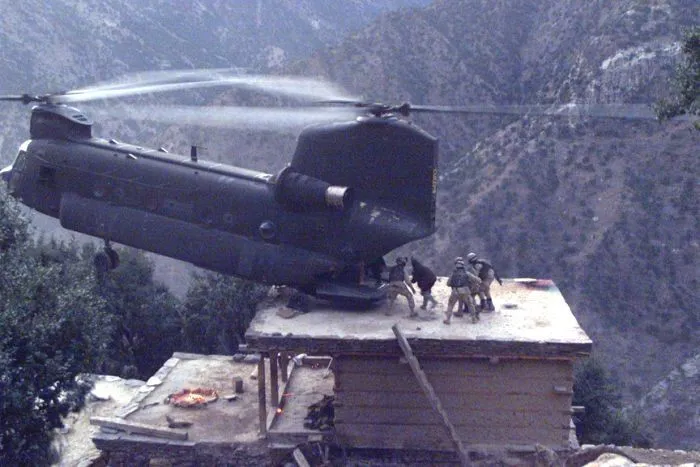 chinook 1.webp