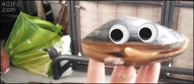 clam.gif