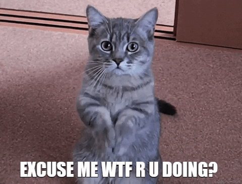 clzJklnRWLyioNgMB4.gif
