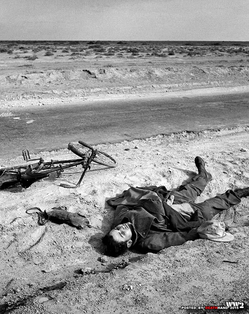 compilation-dead-German-soldiers-of-World-War-Two-102.jpg