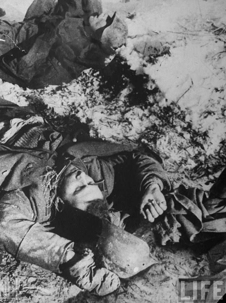 compilation-dead-German-soldiers-of-World-War-Two-137.jpg