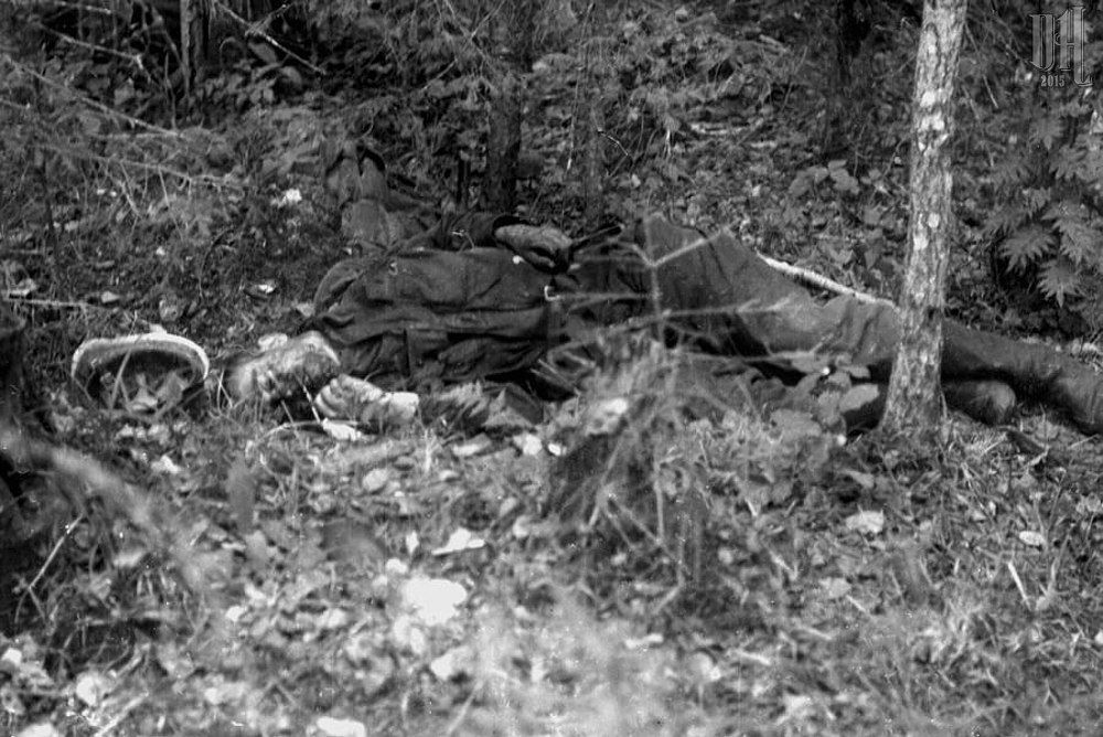 compilation-dead-German-soldiers-of-World-War-Two-201.jpg