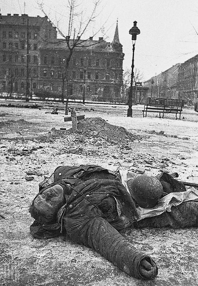 compilation-dead-German-soldiers-of-World-War-Two-294.jpg