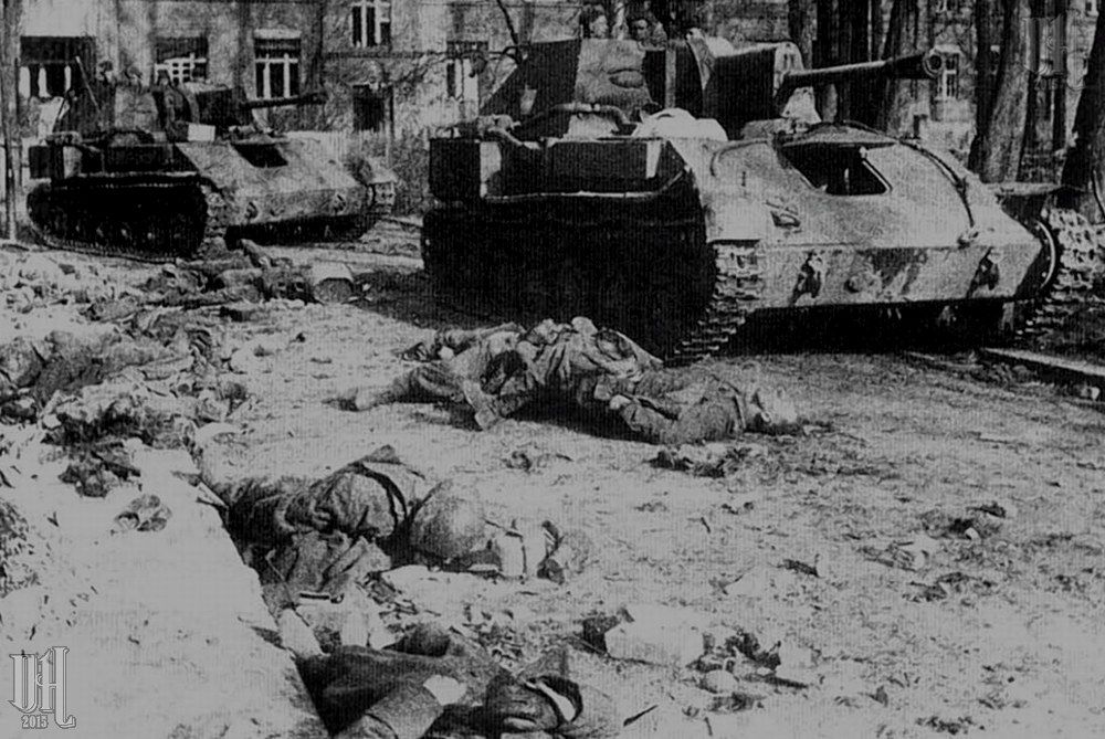 compilation-dead-German-soldiers-of-World-War-Two-297.jpg