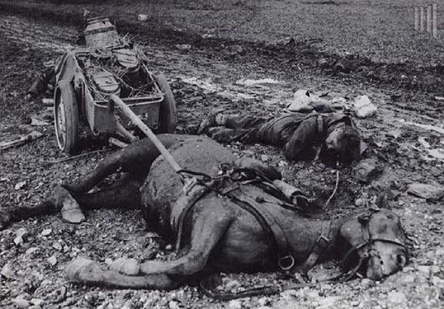 compilation-dead-German-soldiers-of-World-War-Two-306.jpg