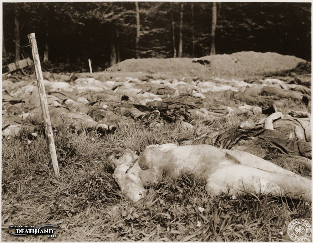 corpses-of-female-prisoners-exhumed-from-mass-grave-4-Hirzenhain-GE-may-7-45.jpg