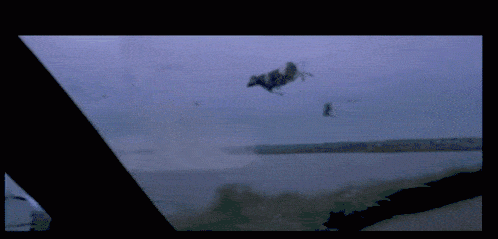 cow-flying-cow.gif