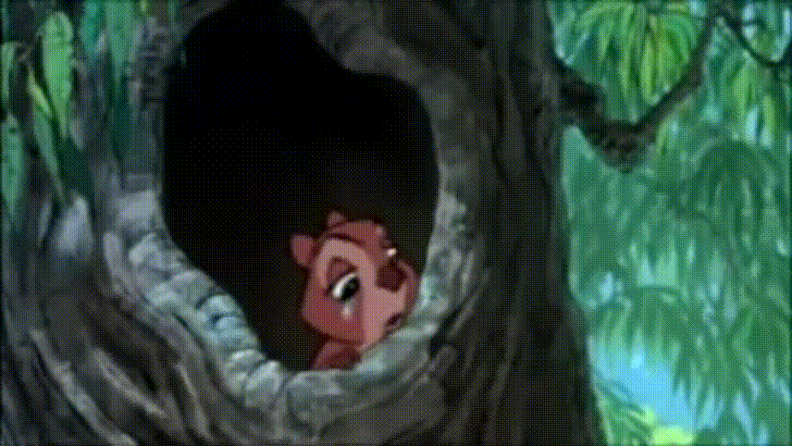 cQrtkVD.gif