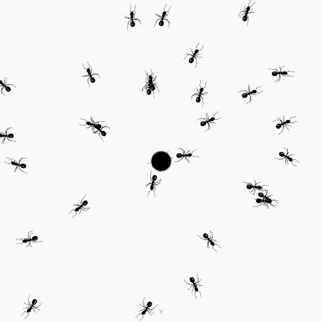 creepycrawlies-everywhere.gif