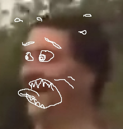 crikey.webp
