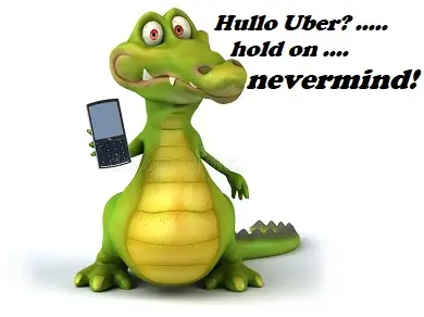 croc.webp