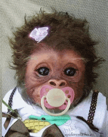 cute-monkey.gif