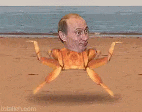 d5643223579cc14472febf44cd34ebbf-tenor.gif