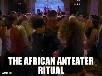 d5f0022b-adb3-41d9-be20-0a36ae5c91d7_text.gif