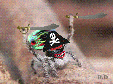 d8ZP8ZOKl9SZq.gif