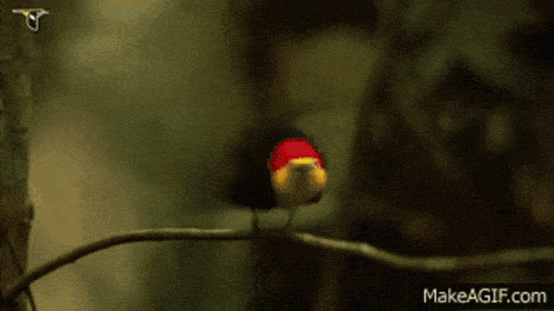 daae24f3c562b8fcbd9d776b89fc07c7.gif