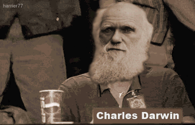 darwinaprovesgif_1.gif