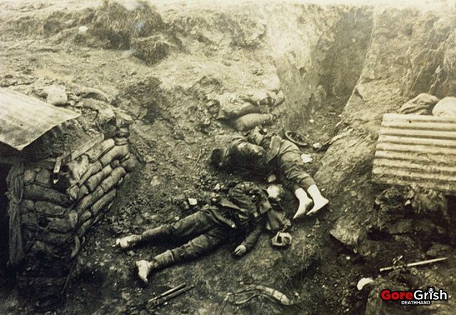 dead-british-in trench-Bullecourt-1917.jpg