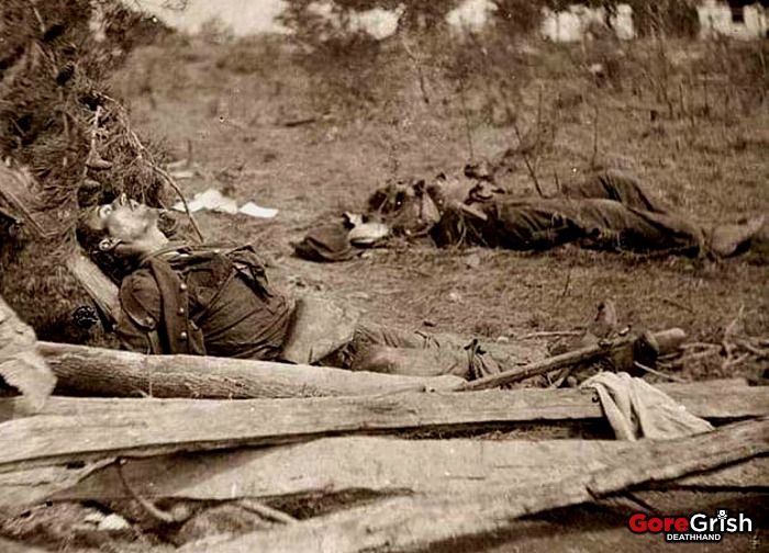dead-confederate-soldiers-Spotsylvania-Court-House-Virginia.jpg