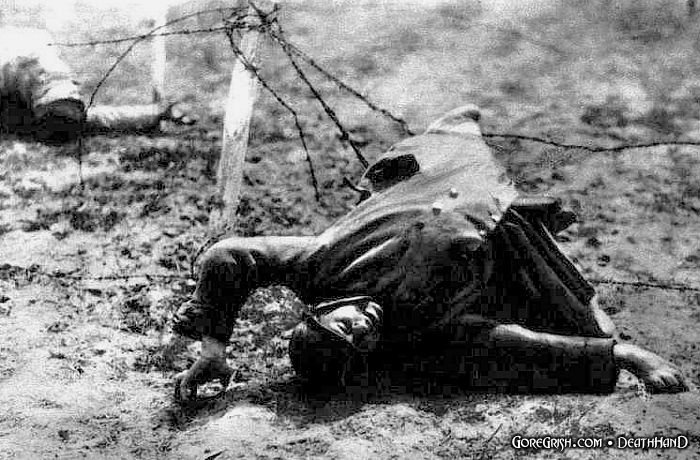 dead-frenchsoldiers-on-wire-Verdun.jpg